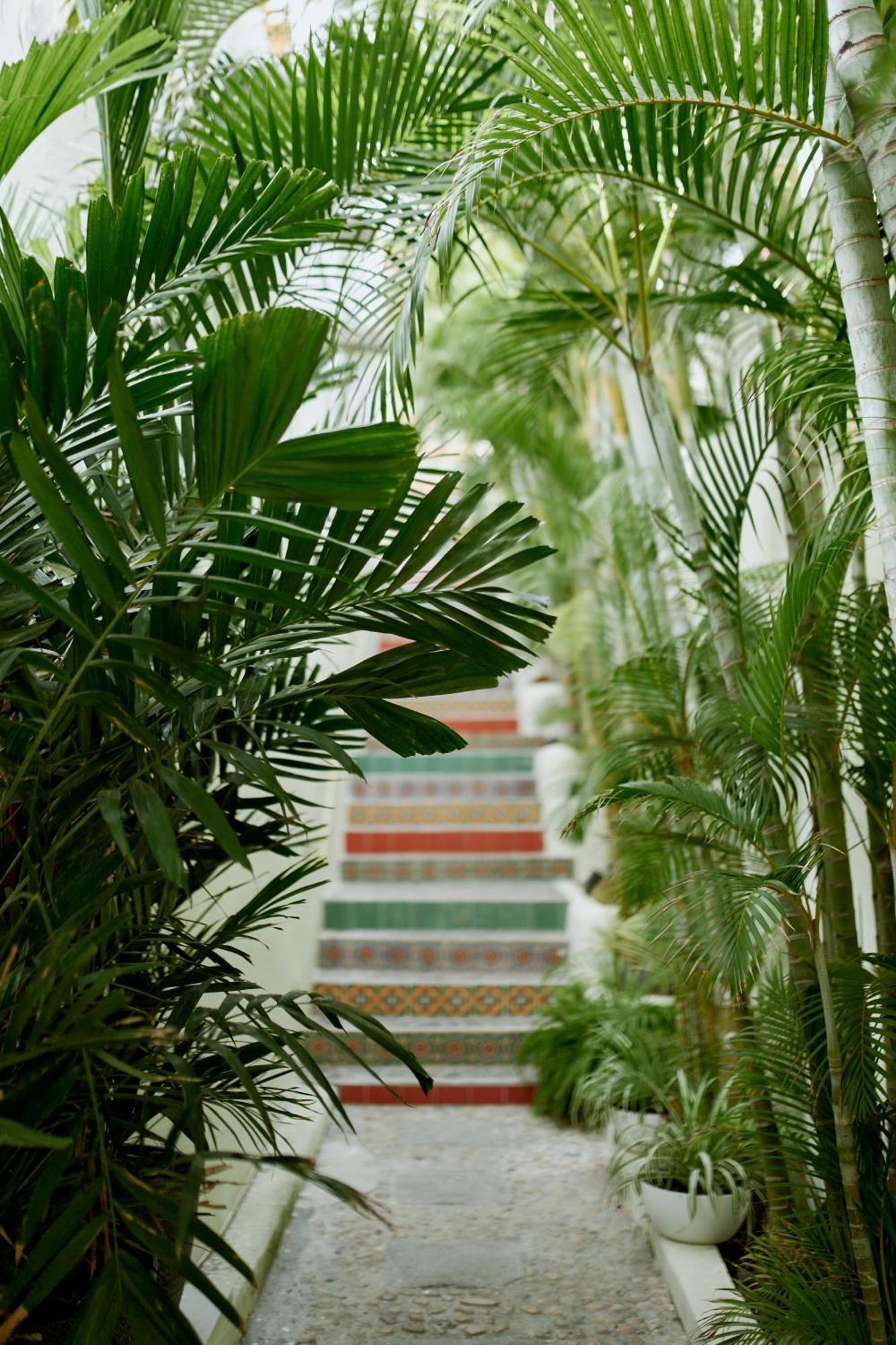 Hotel Ysuri Bucerías Exteriör bild